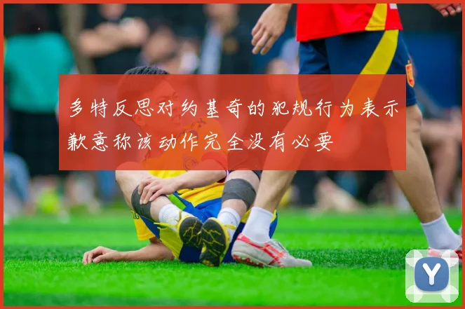 多特反思对约基奇的犯规行为表示歉意称该动作完全没有必要