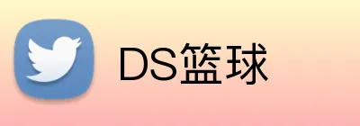DS篮球 logo